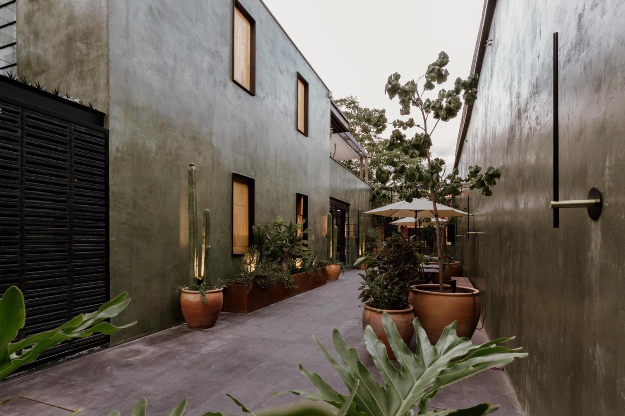 Majagua Hotel Boutique -Adults Only Oaxaca Exteriör bild